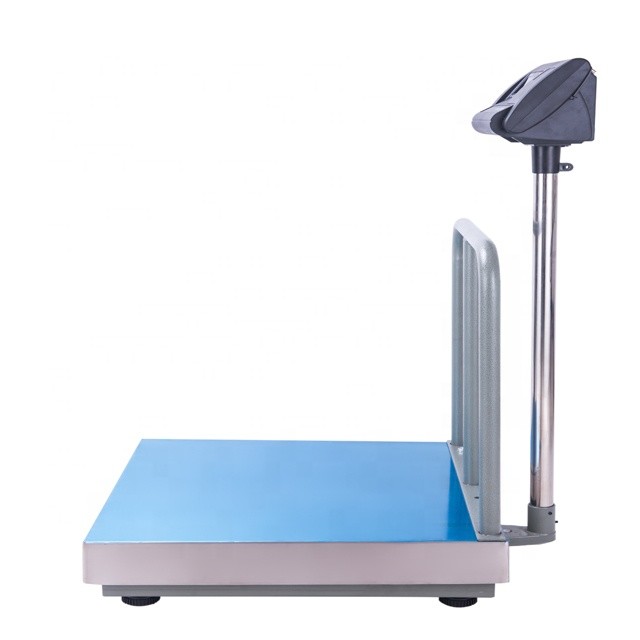 CHTCS-PS Waterproof Digital Back Rail 500kg Platform Bench Scale
